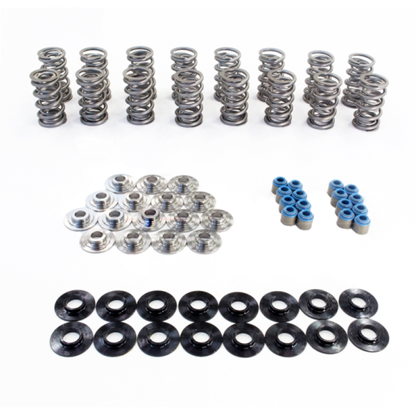 TSP .660  POLISHED Dual Spring Kit w  PAC Valve Springs and Titanium Retainers For Discount