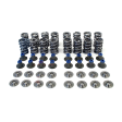 TSP Gen 5 2015+ LT4 .660  Dual Spring Kit w  PAC Valve Springs and Titanium Retainers Discount